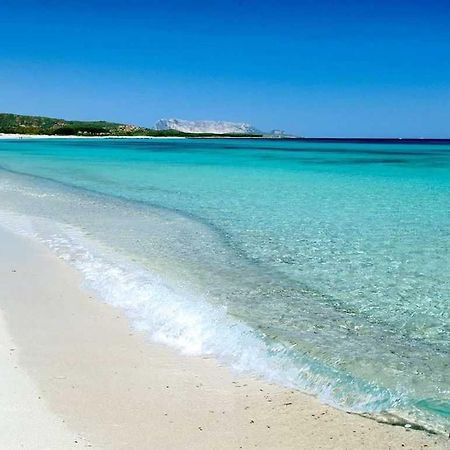 Villa Indipendente Al Mare Budoni تانايونيلا المظهر الخارجي الصورة