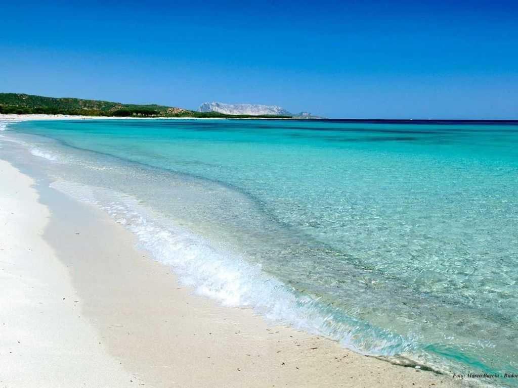 Villa Indipendente Al Mare Budoni تانايونيلا المظهر الخارجي الصورة